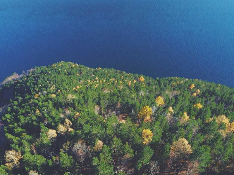 Monthly Budget Planner