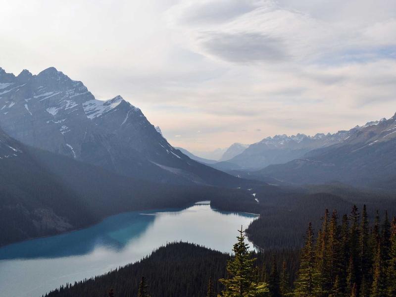 Kids Activity Printable Pack