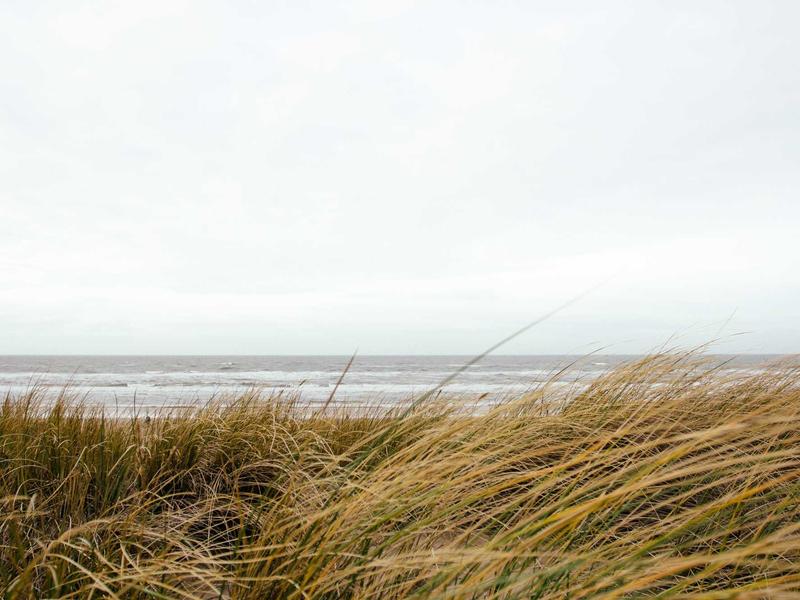 Seamless Floral Pattern Bundle